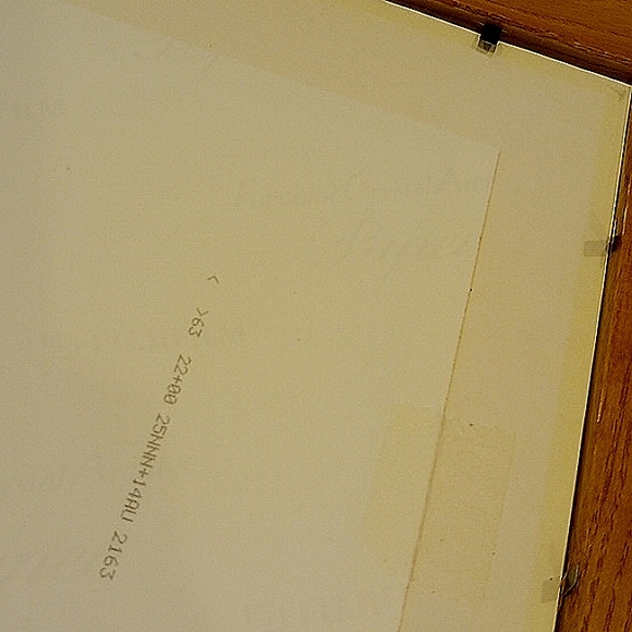 Todd Salat "Heaven & Earth" Original Framed and Signed Photograph - Picture 9 of 12